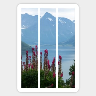 Wonderful landscapes in Norway. Vestland. Beautiful scenery of Romsdal Fjord from the Torvikeidet village. Nice flower composition in foreground. Snowed mountains Summer cloudy day (vertical) Sticker